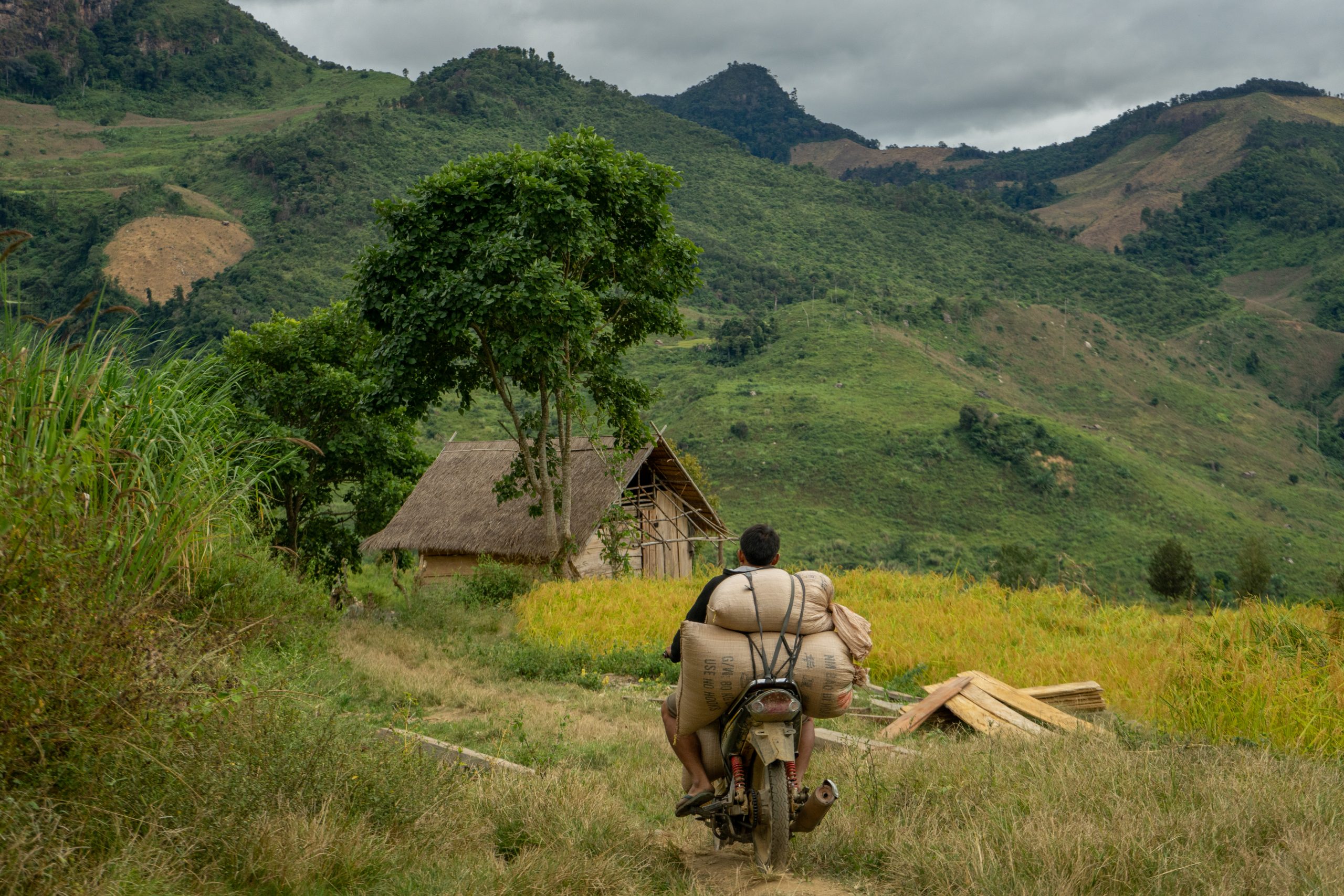 sam and emma sam and emma