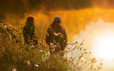 Strengthening Fellowship from Superficial to Spiritual (Part 3): The Fostering of Fellowship