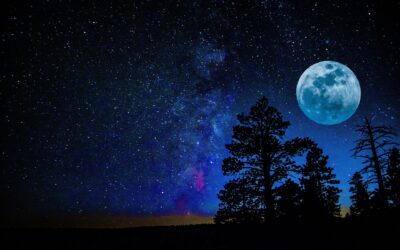 Filling the Realms: Genesis 1:14-25